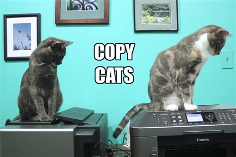 Copy Cat Printing Pensacola, FL Alignable