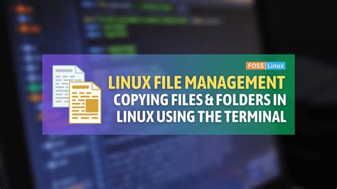 copy all files in a directory linux to another