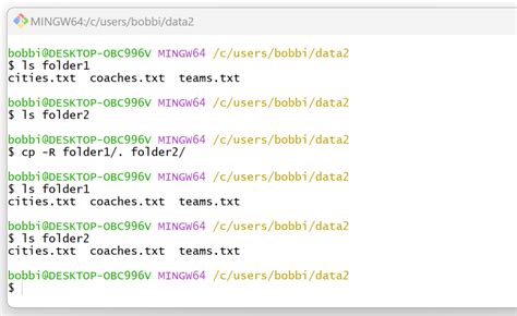 Copy All Files In A Folder Bash