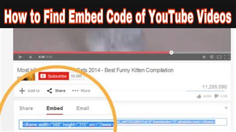 copy embed code youtube