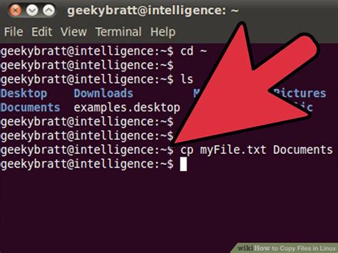 copy file from linux terminal to local machine