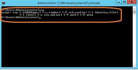 copy folder from linux server to local windows machine