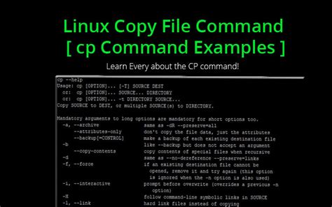 copy linux command example