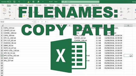 copy list of file names in a folder to excel