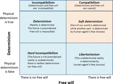 copy of free will and determinism