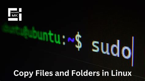copy paste file from one folder to another python