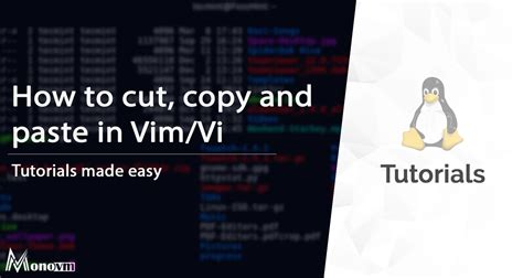 Copy Paste Vim Clipboard