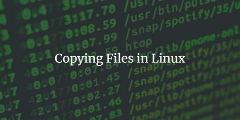 Copy Range Of Files Linux