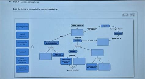 Solved Complete the concept map using the terms and phrases