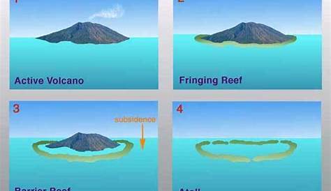 PPT Coral Reefs and Lagoons PowerPoint Presentation ID