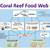 coral reef food web diagram