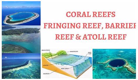 Coral Reef Fringing Barrier Atoll Losing The Pristine Bleaching Strikes In North