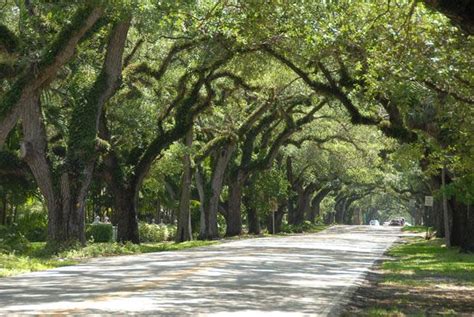 5 Tips Coral Gables Drive