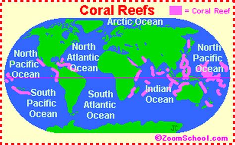 Coral Reef Typical Location