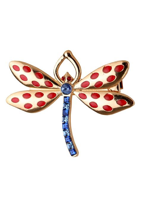 Coraline dragonfly hair clip. Coraline, Dress up outfits, Happy halloween