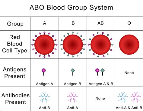 cord blood abo rh