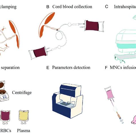 Cord Blood Processing Methods