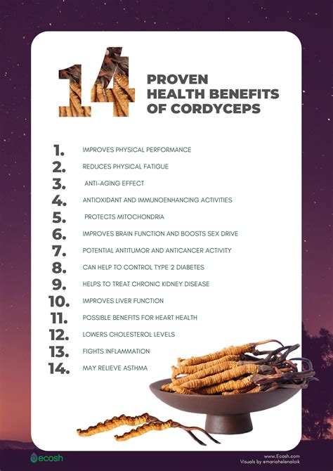 cordyceps benefits