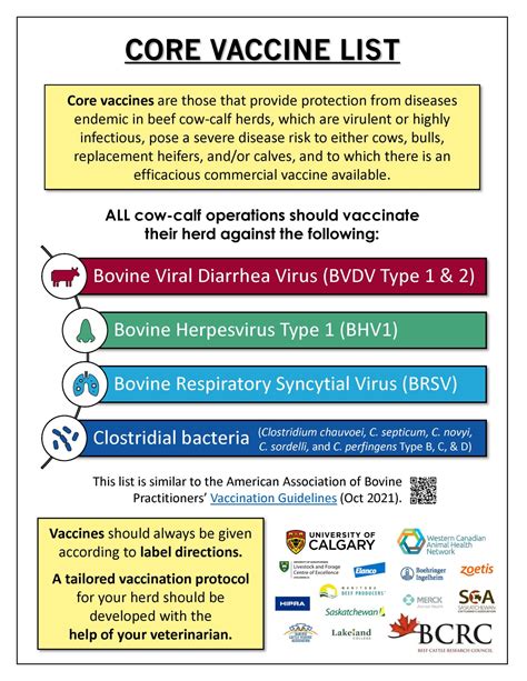 Core Vaccine Definition