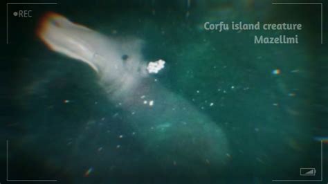 corfu island creature