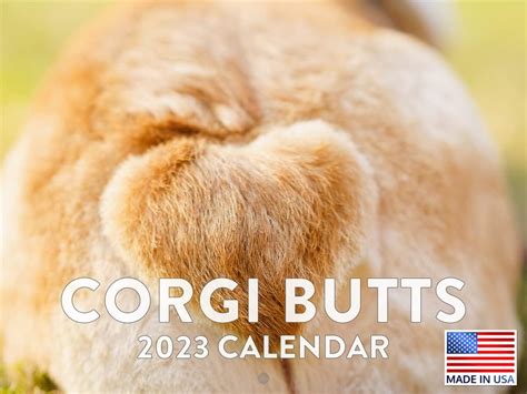 Corgi Butt Calendar