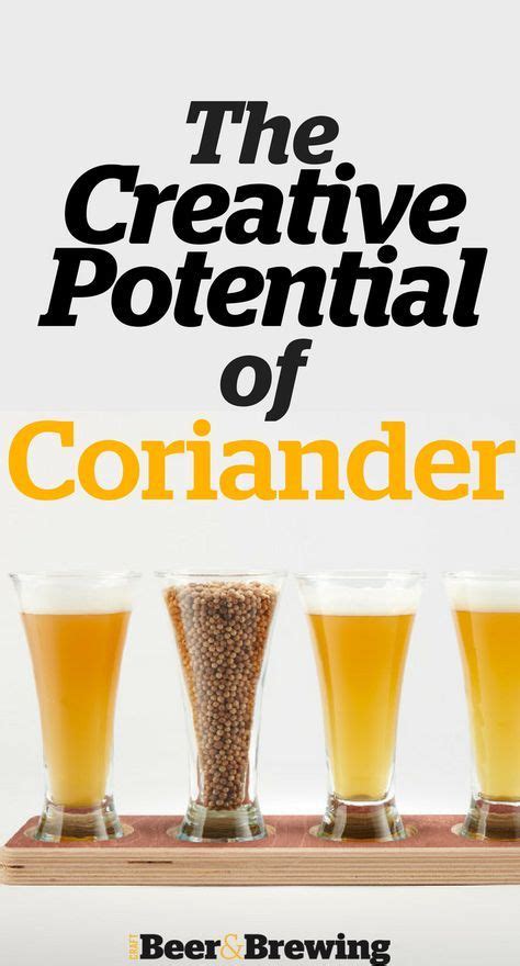 Coriander Beer Making