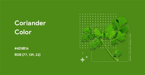 Coriander Color Code