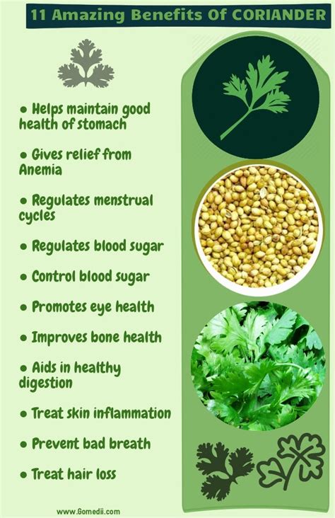 Coriander Nutrition Benefits