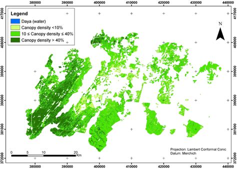 Cork Oak Density