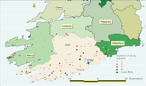 Cork Veterinary Laboratory