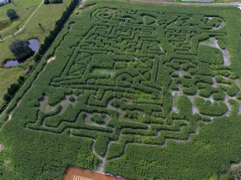 How fall corn mazes are designed, cut Gainesville Times