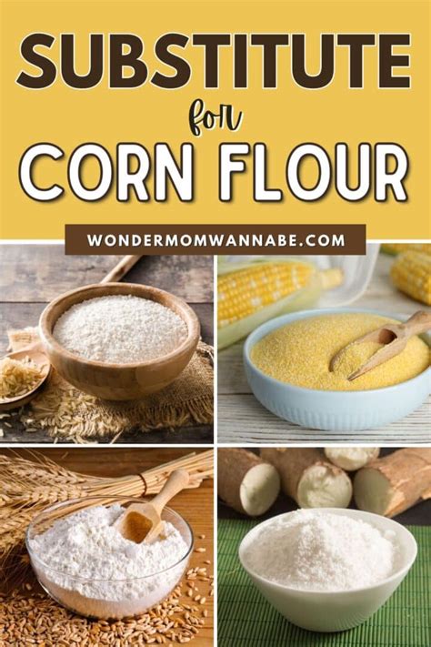 Corn Flour Substitute For Sauce