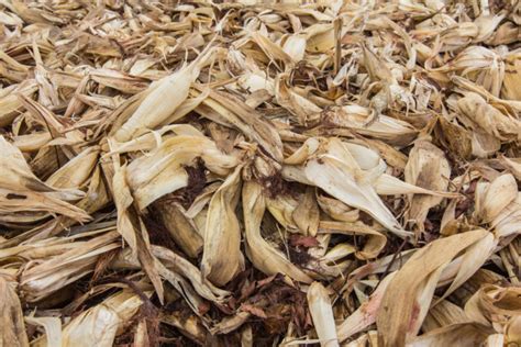 Corn Husk Mulch