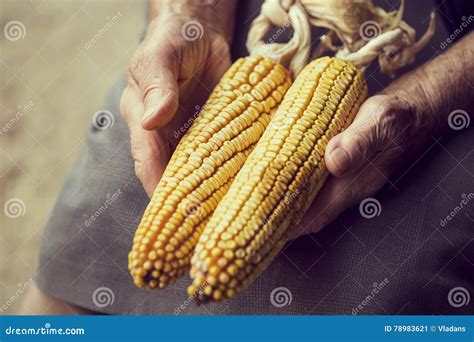 Corn In Elderly