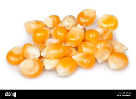 Corn Kernel Image