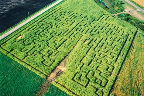 corn maze rhode island