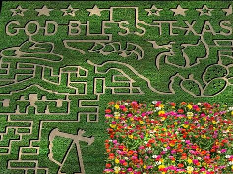 corn maze texas 2023