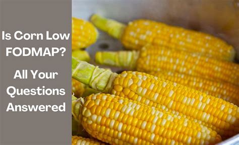 Corn Starch Fodmap