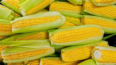 corn starch shortage 2023