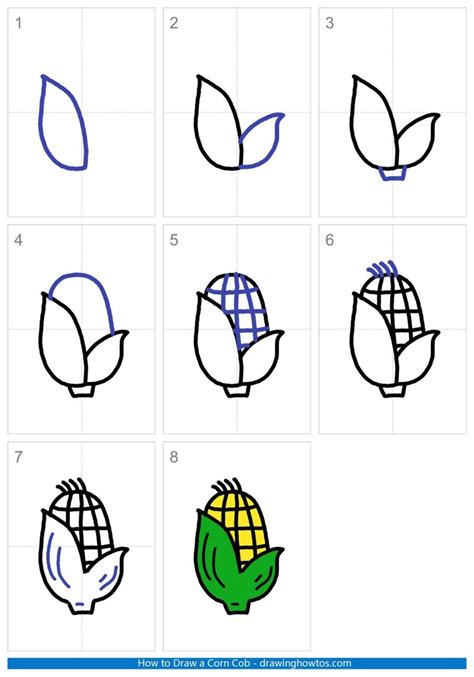 Corn Step By Step Drawing