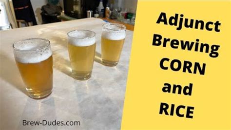 Corn Vs Rice Beer