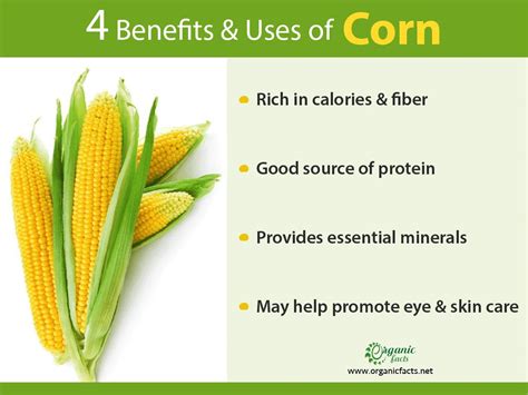Corn Wheat Benefits