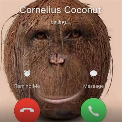 Cornelius Coconut
