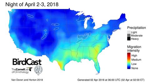 cornell bird migration forecast