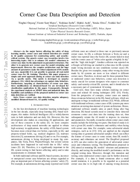 Corner Case Data Description And Detection