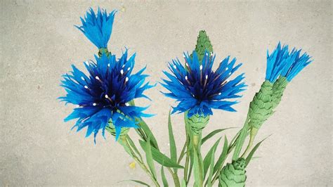 Cornflower Youtube