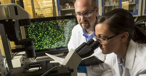 Explore Exciting Corning Careers: Innovate and Grow with Us