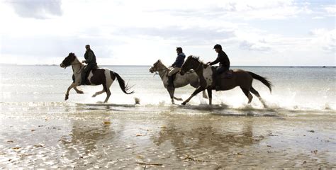 Cornwall Equestrian