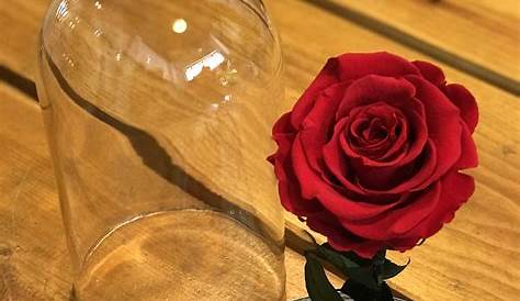 Corona de flores con rosas rosas y otros detalles | Etsy