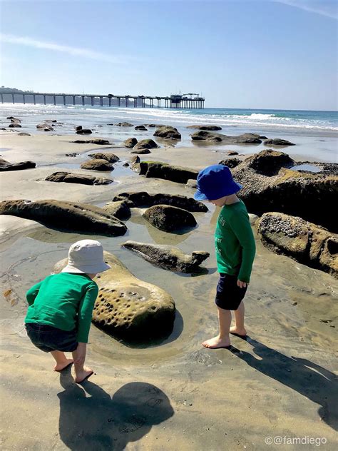 Coronado Living Insider Tips for Exploring the Tide Pools at Sunset